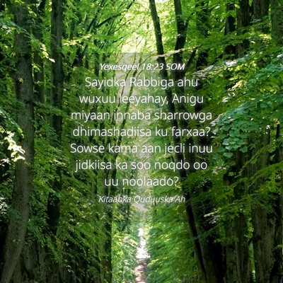 Picture 04 - Yexesqeel 18:23 SOM - Sayidka Rabbiga ahu wuxuu leeyahay, Anigu miyaan - Bible Verse Picture