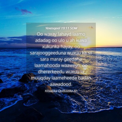 Picture 04 - Yexesqeel 19:11 SOM - Oo waxay lahayd laamo adadag oo ulo u ah kuwa - Bible Verse Picture