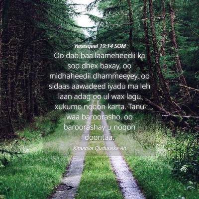 Picture 04 - Yexesqeel 19:14 SOM - Oo dab baa laameheedii ka soo dhex baxay, oo - Bible Verse Picture