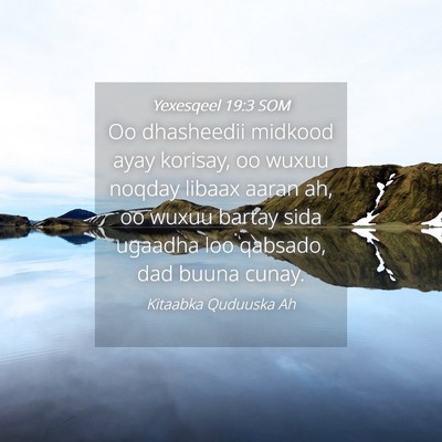 Picture 04 - Yexesqeel 19:3 SOM - Oo dhasheedii midkood ayay korisay, oo wuxuu - Bible Verse Picture
