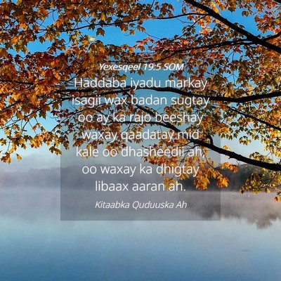 Picture 04 - Yexesqeel 19:5 SOM - Haddaba iyadu markay isagii wax badan sugtay oo - Bible Verse Picture