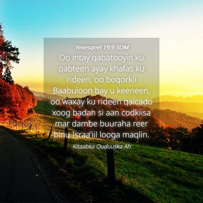 Picture 04 - Yexesqeel 19:9 SOM - Oo intay qabatooyin ku qabteen ayay khafas ku - Bible Verse Picture