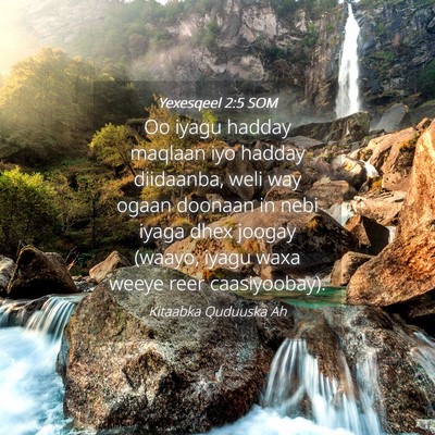 Picture 04 - Yexesqeel 2:5 SOM - Oo iyagu hadday maqlaan iyo hadday diidaanba, - Bible Verse Picture