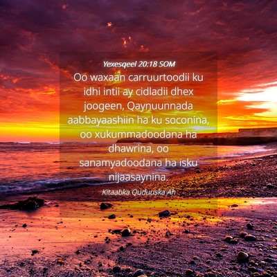 Picture 04 - Yexesqeel 20:18 SOM - Oo waxaan carruurtoodii ku idhi intii ay cidladii - Bible Verse Picture
