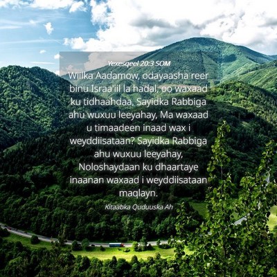 Picture 04 - Yexesqeel 20:3 SOM - Wiilka Aadamow, odayaasha reer binu Israa'iil la - Bible Verse Picture