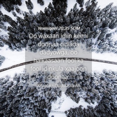 Picture 04 - Yexesqeel 20:35 SOM - Oo waxaan idiin keeni doonaa cidlada dadyowga, oo - Bible Verse Picture
