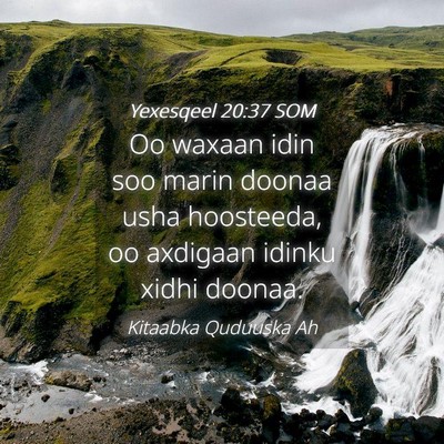 Picture 04 - Yexesqeel 20:37 SOM - Oo waxaan idin soo marin doonaa usha hoosteeda, - Bible Verse Picture