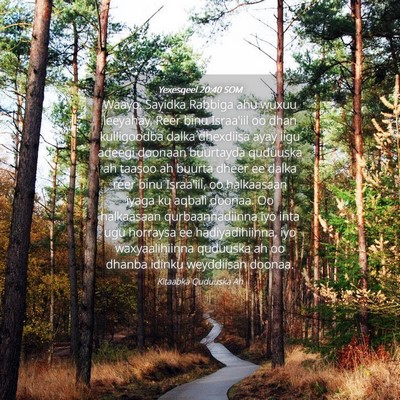 Picture 04 - Yexesqeel 20:40 SOM - Waayo, Sayidka Rabbiga ahu wuxuu leeyahay, Reer - Bible Verse Picture