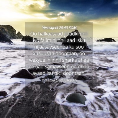 Picture 04 - Yexesqeel 20:43 SOM - Oo halkaasaad jidadkiinnii iyo falimihiinnii aad - Bible Verse Picture