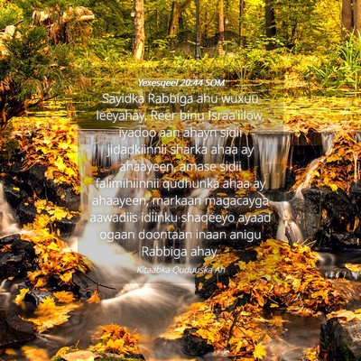 Picture 04 - Yexesqeel 20:44 SOM - Sayidka Rabbiga ahu wuxuu leeyahay, Reer binu - Bible Verse Picture
