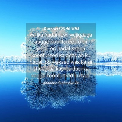 Picture 04 - Yexesqeel 20:46 SOM - Wiilka Aadamow, wejigaaga xagga koonfureed u sii - Bible Verse Picture
