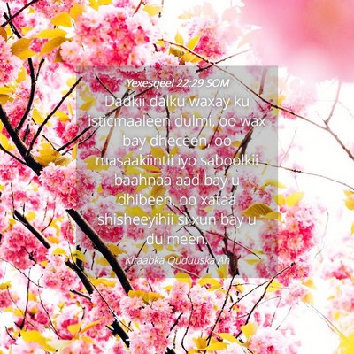 Picture 04 - Yexesqeel 22:29 SOM - Dadkii dalku waxay ku isticmaaleen dulmi, oo wax - Bible Verse Picture