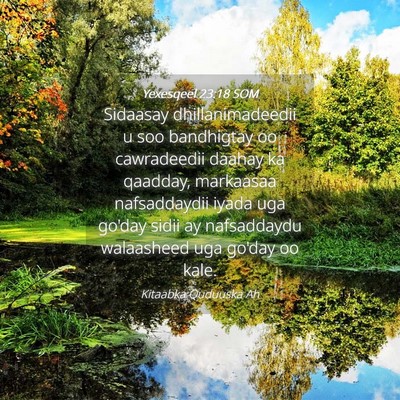 Picture 04 - Yexesqeel 23:18 SOM - Sidaasay dhillanimadeedii u soo bandhigtay oo - Bible Verse Picture