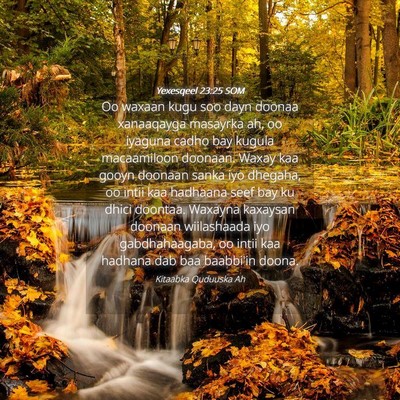 Picture 04 - Yexesqeel 23:25 SOM - Oo waxaan kugu soo dayn doonaa xanaaqayga - Bible Verse Picture