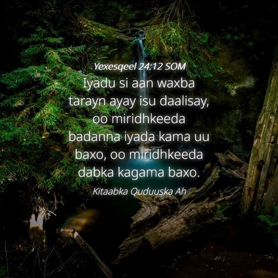 Picture 04 - Yexesqeel 24:12 SOM - Iyadu si aan waxba tarayn ayay isu daalisay, oo - Bible Verse Picture