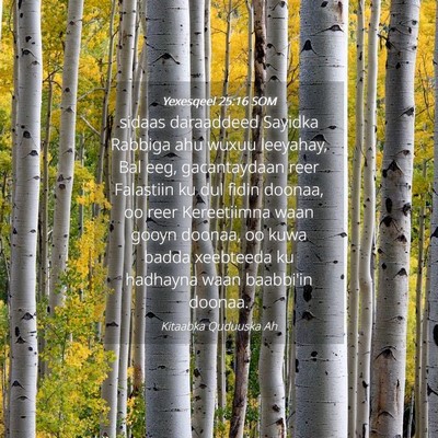 Picture 04 - Yexesqeel 25:16 SOM - sidaas daraaddeed Sayidka Rabbiga ahu wuxuu - Bible Verse Picture