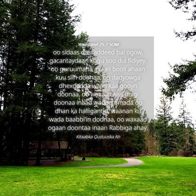 Picture 04 - Yexesqeel 25:7 SOM - oo sidaas daraaddeed bal ogow, gacantaydaan kugu - Bible Verse Picture