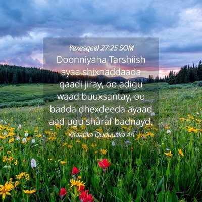 Picture 04 - Yexesqeel 27:25 SOM - Doonniyaha Tarshiish ayaa shixnaddaada qaadi - Bible Verse Picture