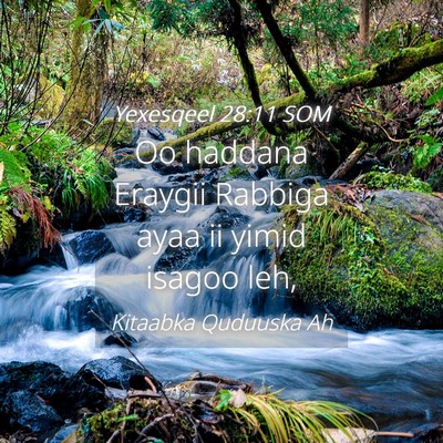 Picture 04 - Yexesqeel 28:11 SOM - Oo haddana Eraygii Rabbiga ayaa ii yimid isagoo - Bible Verse Picture