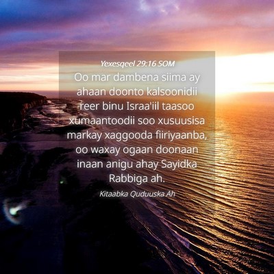 Picture 04 - Yexesqeel 29:16 SOM - Oo mar dambena siima ay ahaan doonto kalsoonidii - Bible Verse Picture
