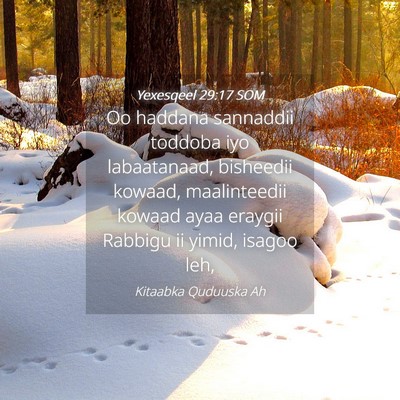 Picture 04 - Yexesqeel 29:17 SOM - Oo haddana sannaddii toddoba iyo labaatanaad, - Bible Verse Picture