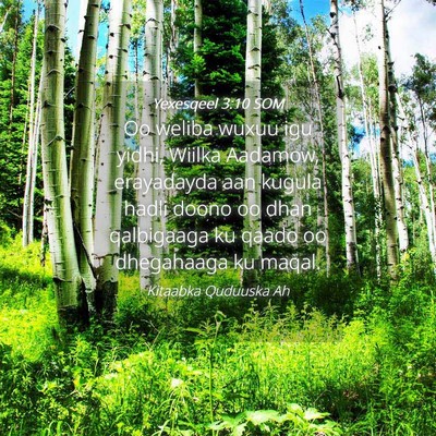 Picture 04 - Yexesqeel 3:10 SOM - Oo weliba wuxuu igu yidhi, Wiilka Aadamow, - Bible Verse Picture