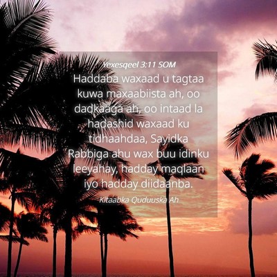 Picture 04 - Yexesqeel 3:11 SOM - Haddaba waxaad u tagtaa kuwa maxaabiista ah, oo - Bible Verse Picture