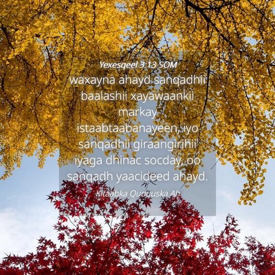 Picture 04 - Yexesqeel 3:13 SOM - waxayna ahayd sanqadhii baalashii xayawaankii - Bible Verse Picture