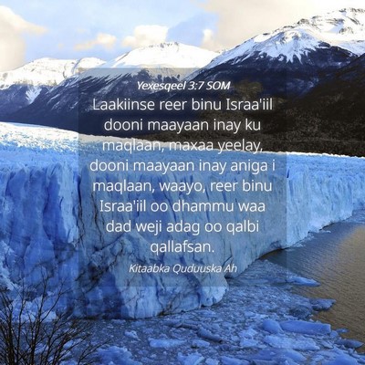 Picture 04 - Yexesqeel 3:7 SOM - Laakiinse reer binu Israa'iil dooni maayaan inay - Bible Verse Picture
