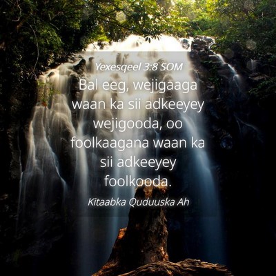 Picture 04 - Yexesqeel 3:8 SOM - Bal eeg, wejigaaga waan ka sii adkeeyey - Bible Verse Picture
