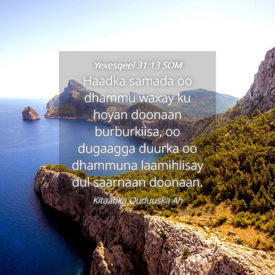 Picture 04 - Yexesqeel 31:13 SOM - Haadka samada oo dhammu waxay ku hoyan doonaan - Bible Verse Picture
