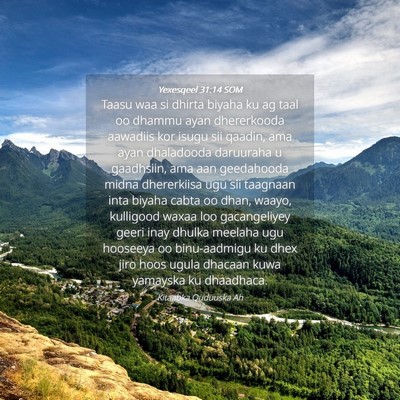 Picture 04 - Yexesqeel 31:14 SOM - Taasu waa si dhirta biyaha ku ag taal oo dhammu - Bible Verse Picture