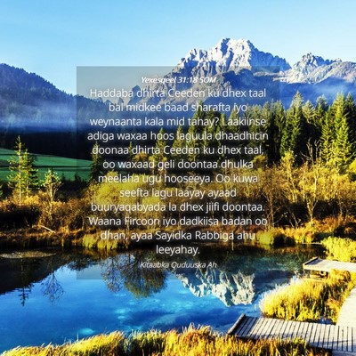 Picture 04 - Yexesqeel 31:18 SOM - Haddaba dhirta Ceeden ku dhex taal bal midkee - Bible Verse Picture