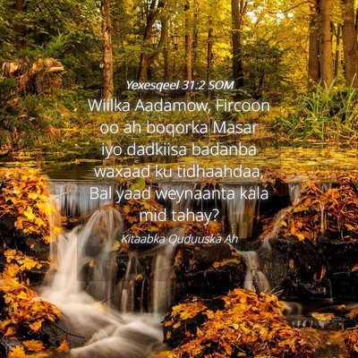 Picture 04 - Yexesqeel 31:2 SOM - Wiilka Aadamow, Fircoon oo ah boqorka Masar iyo - Bible Verse Picture