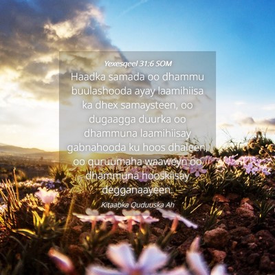 Picture 04 - Yexesqeel 31:6 SOM - Haadka samada oo dhammu buulashooda ayay - Bible Verse Picture