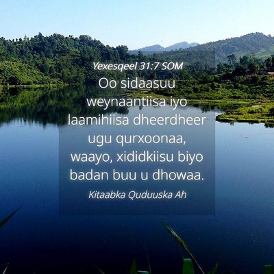 Picture 04 - Yexesqeel 31:7 SOM - Oo sidaasuu weynaantiisa iyo laamihiisa - Bible Verse Picture