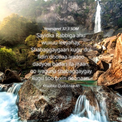 Picture 04 - Yexesqeel 32:3 SOM - Sayidka Rabbiga ahu wuxuu leeyahay, Shabaggaygaan - Bible Verse Picture