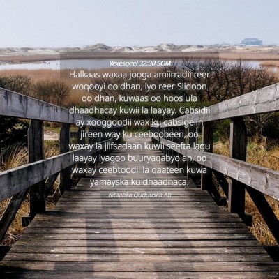 Picture 04 - Yexesqeel 32:30 SOM - Halkaas waxaa jooga amiirradii reer woqooyi oo - Bible Verse Picture