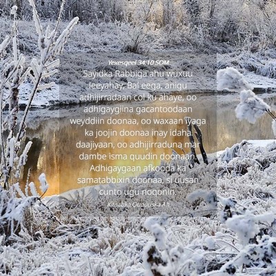 Picture 04 - Yexesqeel 34:10 SOM - Sayidka Rabbiga ahu wuxuu leeyahay, Bal eega, - Bible Verse Picture