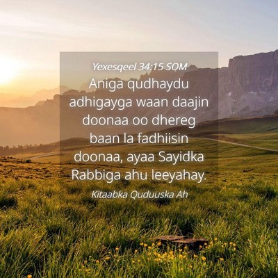 Picture 04 - Yexesqeel 34:15 SOM - Aniga qudhaydu adhigayga waan daajin doonaa oo - Bible Verse Picture