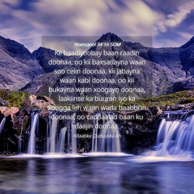 Picture 04 - Yexesqeel 34:16 SOM - Kii baadiyoobay baan raadin doonaa, oo kii - Bible Verse Picture
