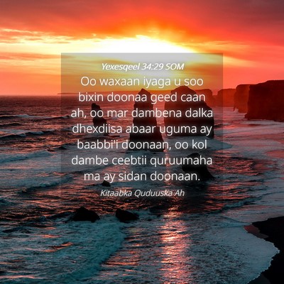 Picture 04 - Yexesqeel 34:29 SOM - Oo waxaan iyaga u soo bixin doonaa geed caan ah, - Bible Verse Picture