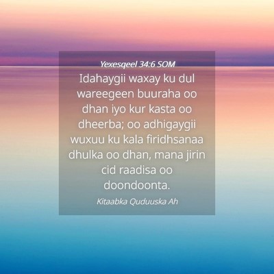 Picture 04 - Yexesqeel 34:6 SOM - Idahaygii waxay ku dul wareegeen buuraha oo dhan - Bible Verse Picture
