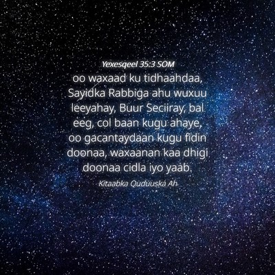 Picture 04 - Yexesqeel 35:3 SOM - oo waxaad ku tidhaahdaa, Sayidka Rabbiga ahu - Bible Verse Picture