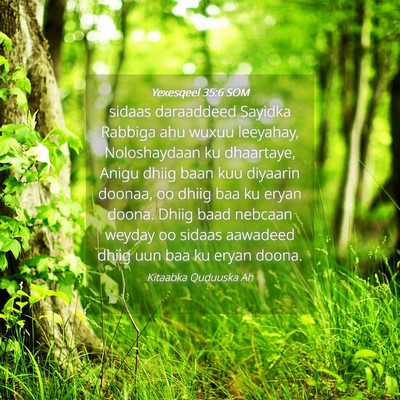 Picture 04 - Yexesqeel 35:6 SOM - sidaas daraaddeed Sayidka Rabbiga ahu wuxuu - Bible Verse Picture