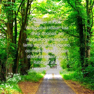 Picture 04 - Yexesqeel 35:9 SOM - Weligaaba cidlaan kaa dhigi doonaa, oo - Bible Verse Picture