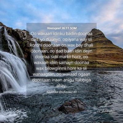 Picture 04 - Yexesqeel 36:11 SOM - Oo waxaan idinku badin doonaa dad iyo duunyo, oo - Bible Verse Picture