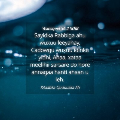 Picture 04 - Yexesqeel 36:2 SOM - Sayidka Rabbiga ahu wuxuu leeyahay, Cadowgu wuxuu - Bible Verse Picture