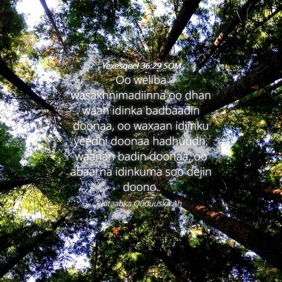 Picture 04 - Yexesqeel 36:29 SOM - Oo weliba wasakhnimadiinna oo dhan waan idinka - Bible Verse Picture