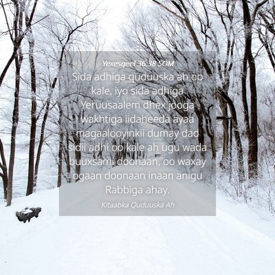 Picture 04 - Yexesqeel 36:38 SOM - Sida adhiga quduuska ah oo kale, iyo sida adhiga - Bible Verse Picture